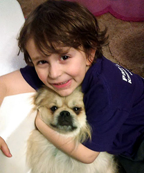 Gemini, an emotional support dog to a young boy suffering with PTSD
