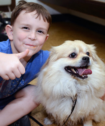 Gem, an emotional support dog to a young boy