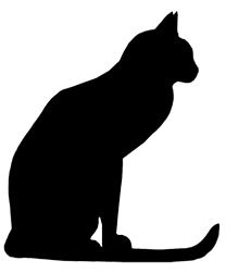 Panther, a Black Cat