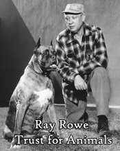 Ray Rowe Trust for Animals