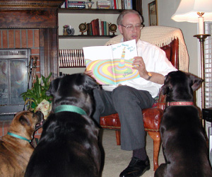Lew Reading a Book to Two Labrador Retrievers and a Boxer